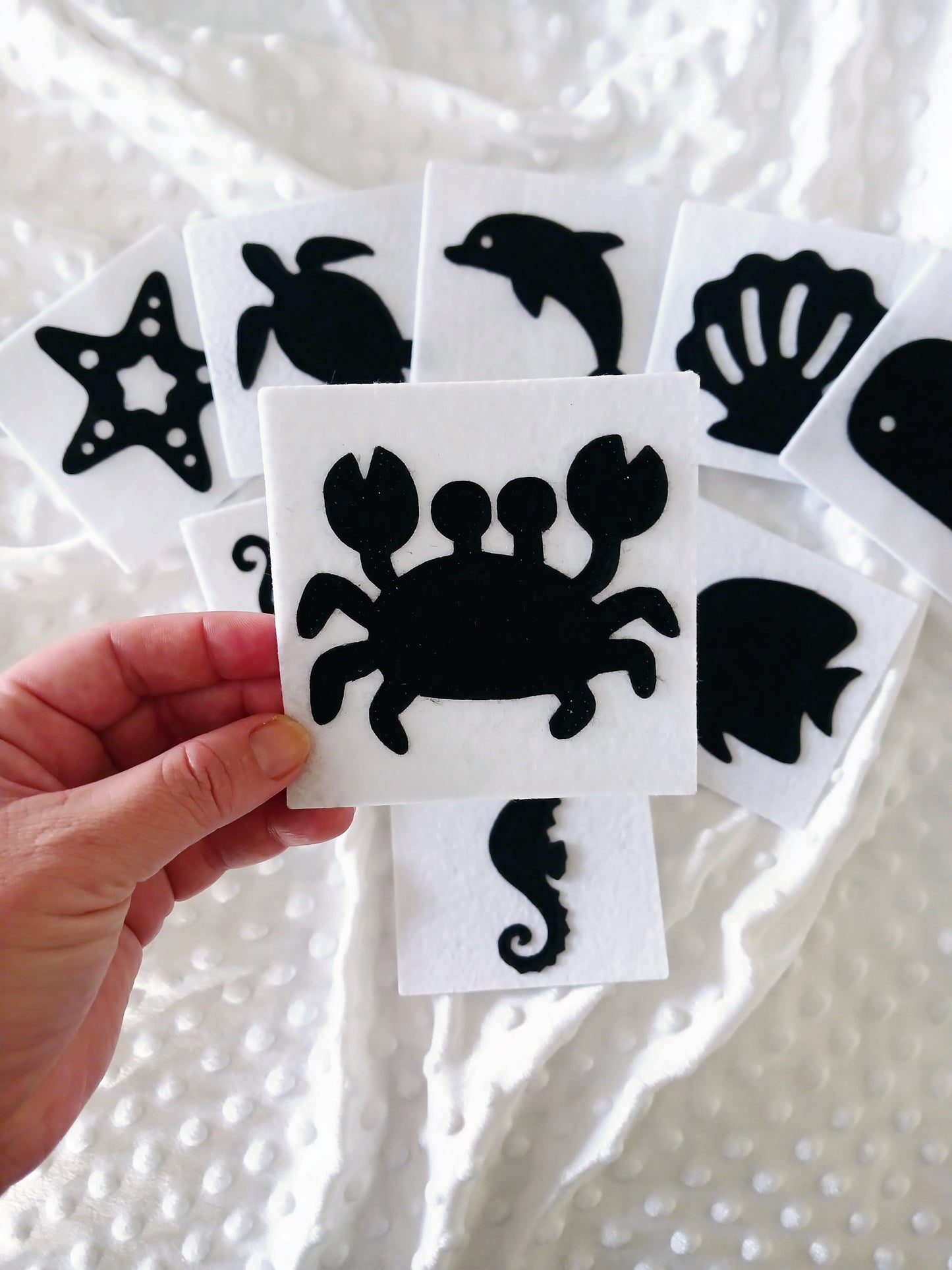 High Contrast Flashcards