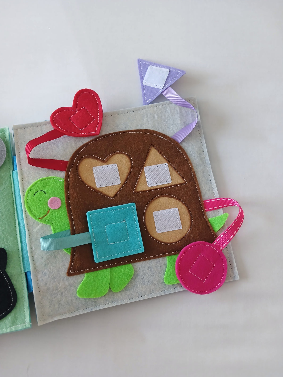 Tortoise Shape Matching